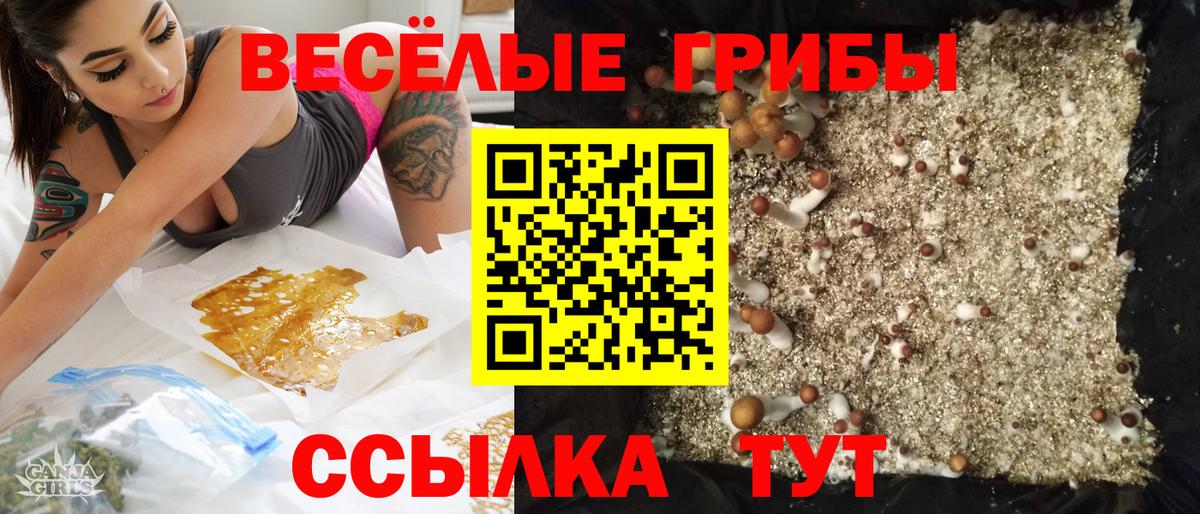 Псилоцибиновые грибы прущие грибы  Вход с VPN  Гурьевск  Галлюциногенные грибы ЛСД 