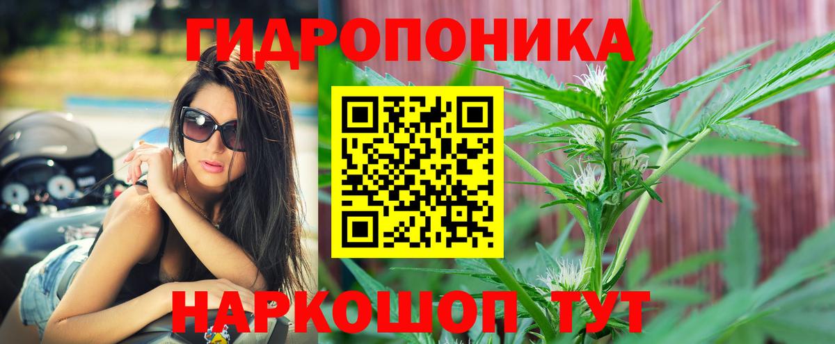 Бошки Шишки OG Kush Гурьевск